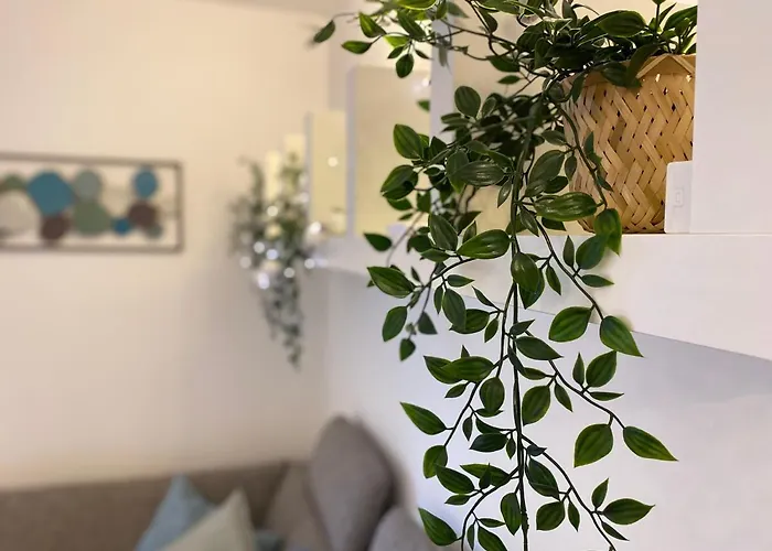 Above * ブレッド